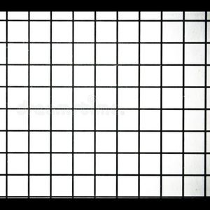 Meet your Posher, Jacqueline